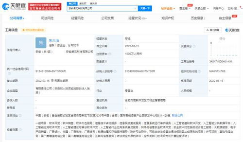 科大訊飛在安徽新設兩家科技公司 聚焦信息系統集成服務